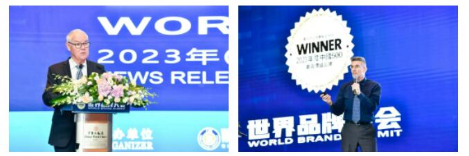 权威认证 九游老哥入选中国500最具价值品牌
