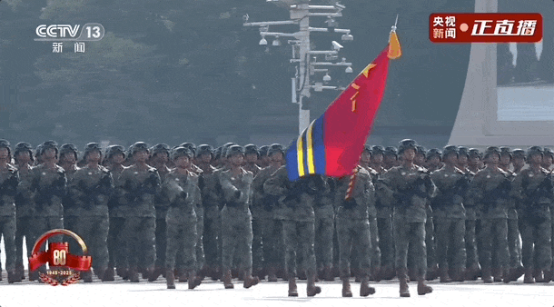 3.gif